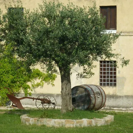 Casale Oliva In A Landscape Of Oaks, Olive E Cherry Trees Santa Vittoria in Matenano