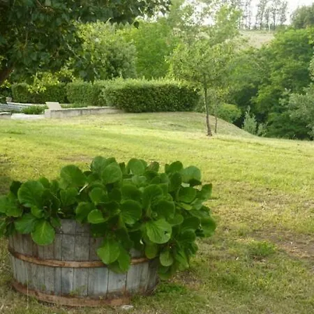 Casale Oliva In A Landscape Of Oaks, Olive E Cherry Trees * Santa Vittoria in Matenano