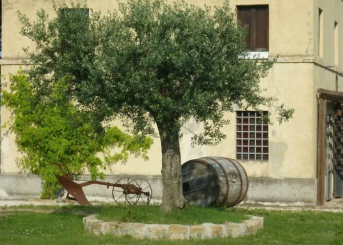 Casale Oliva In A Landscape Of Oaks, Olive E Cherry Trees Santa Vittoria in Matenano