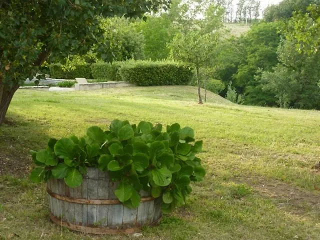 Casale Oliva In A Landscape Of Oaks, Olive E Cherry Trees * Santa Vittoria in Matenano